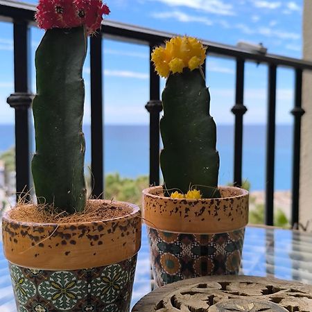 Apartamento Tropicana 1° Linea Almuñécar Dış mekan fotoğraf