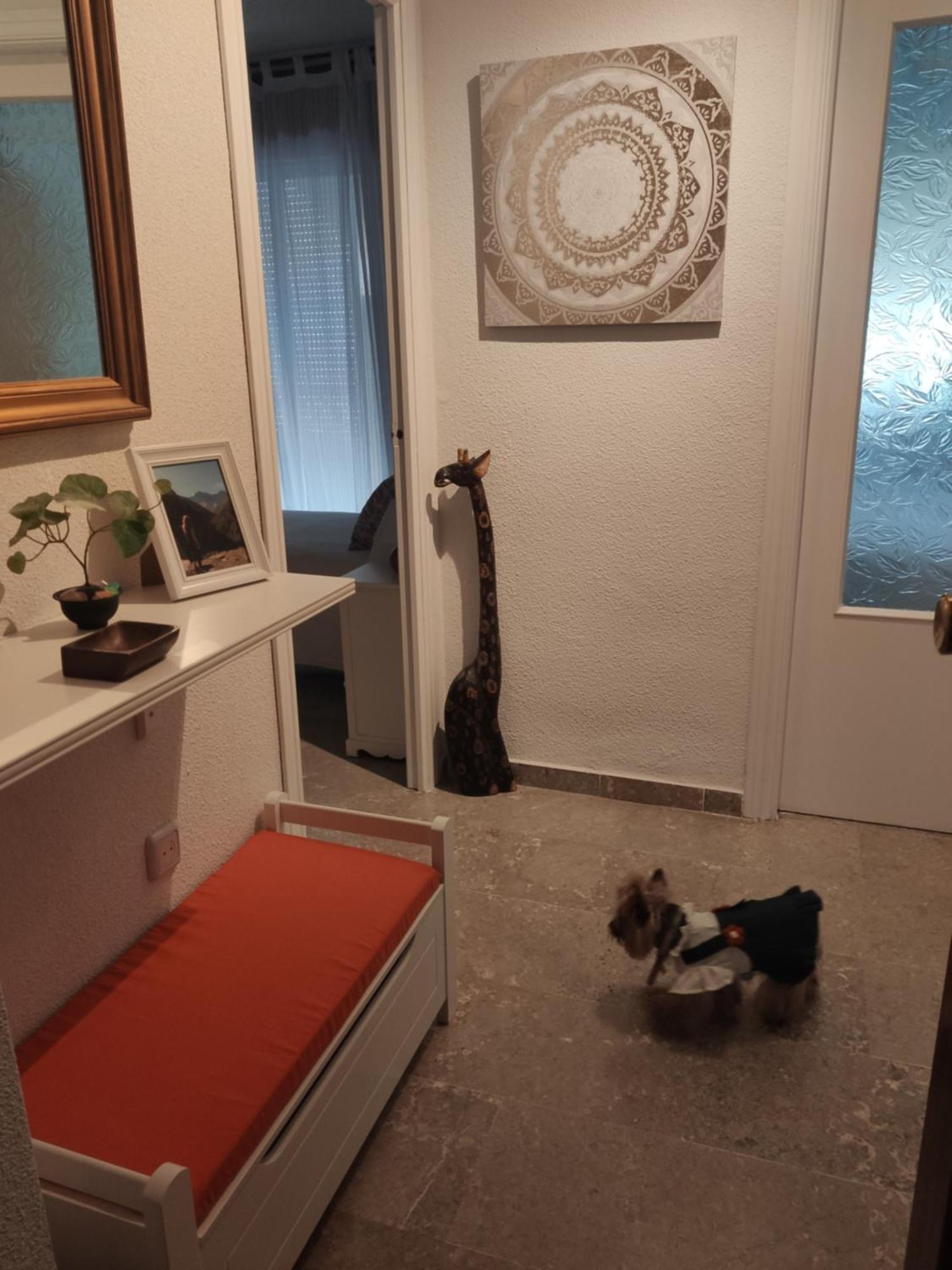 Apartamento Tropicana 1° Linea Almuñécar Dış mekan fotoğraf