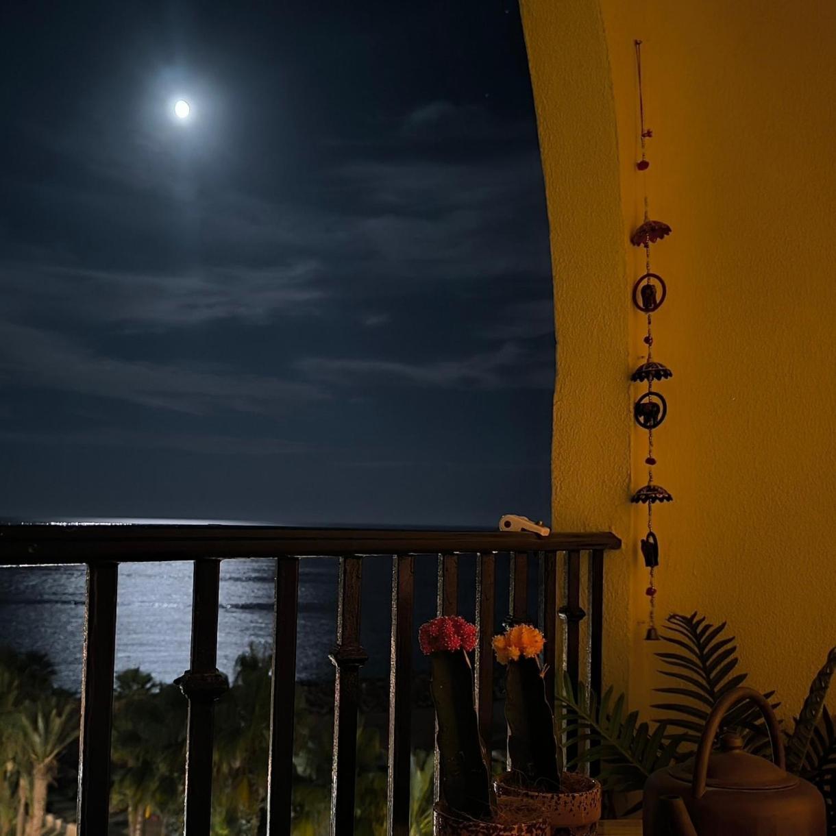 Apartamento Tropicana 1° Linea Almuñécar Dış mekan fotoğraf